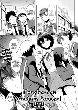 Токура-сан Любит Кошек! (Tokura-san Loves Cats!)