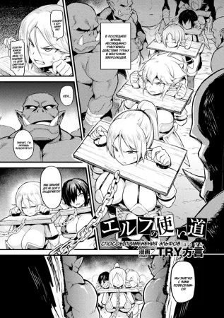 Способ применения эльфов (Elf no tsukaimichi)