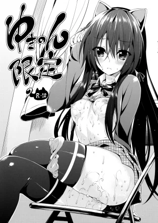 Предел Юкинон 1 (Yukinon Gentei 1/ Yukinon Limited Edition)